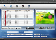 Nidesoft DVD to AVI Converter screenshot